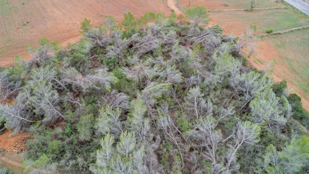 La palabra que más empleaban vecinos y curiosos para describir el paisaje era «guerra»