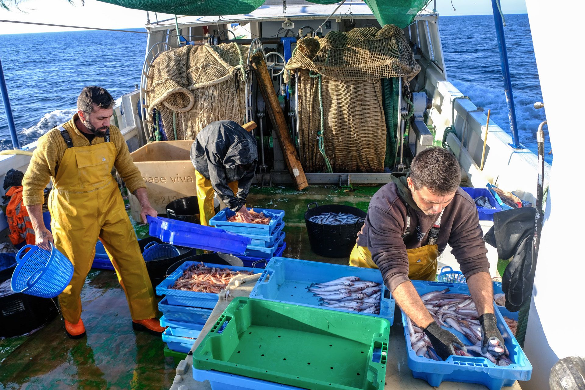 La pesca de arrastre, un oficio en peligro de extinción