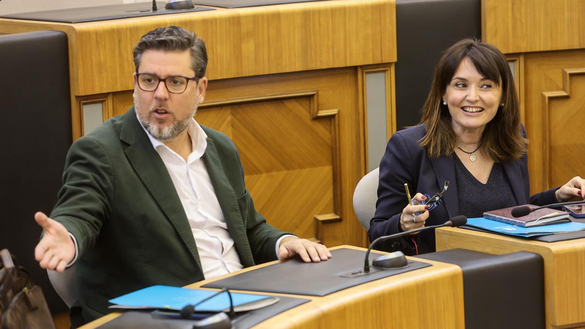 Los dos diputados del grupo de no adscritos, Javier Gutiérrez y Julia Parra, en el pleno extraordinario en la Diputación