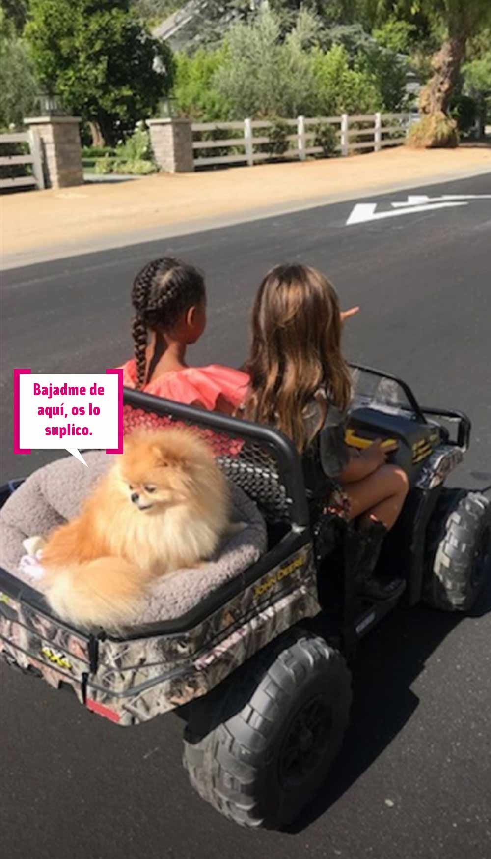 North y Penélope conduciendo con el perro detrás