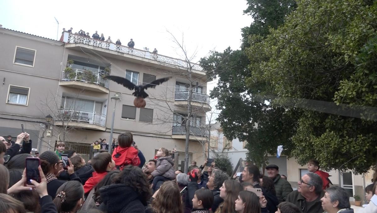 El 'Corb' en Son Servera.