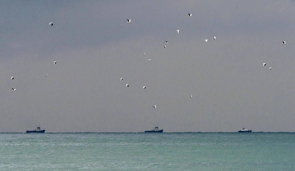 Un avión militar ruso Túpolev Tu-154 con 93 personas a bordo se ha siniestrado en el mar Negro poco después de despegar desde Sochi.