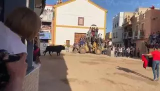 Más presencia que espectáculo en el último día de ‘bous’ de la Vall con el imponente toro de 740 kilos