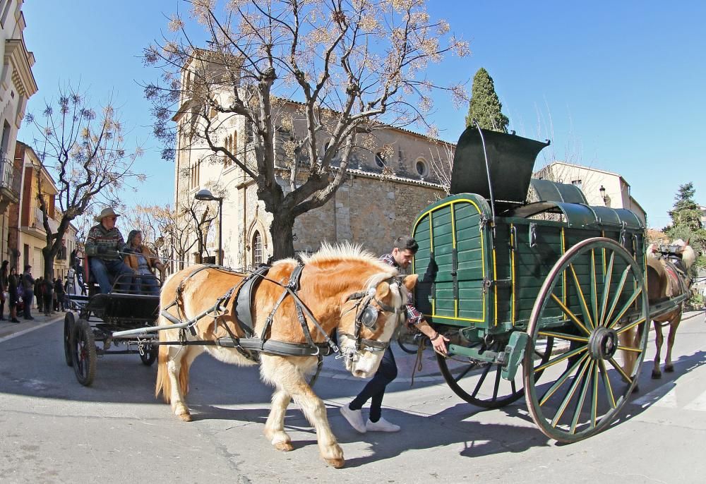 Festa de Sant Antoni de Sant Vicenç de Castellet