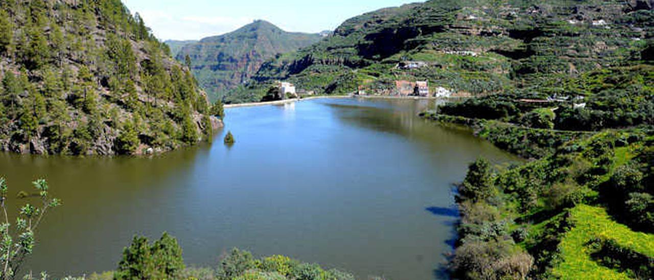 La presa de Los Pérez, en la cabecera del barranco de Agaete, con lleno absoluto.