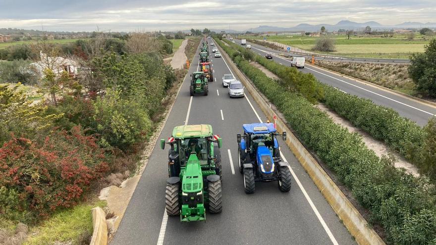 Mehr als 300 Traktoren legen bei einer Demo den Verkehr in Palma lahm