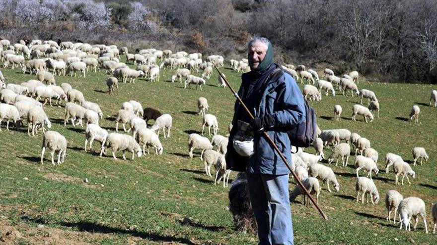 Los ganaderos de Guara reconocen al último pastor de Alquézar