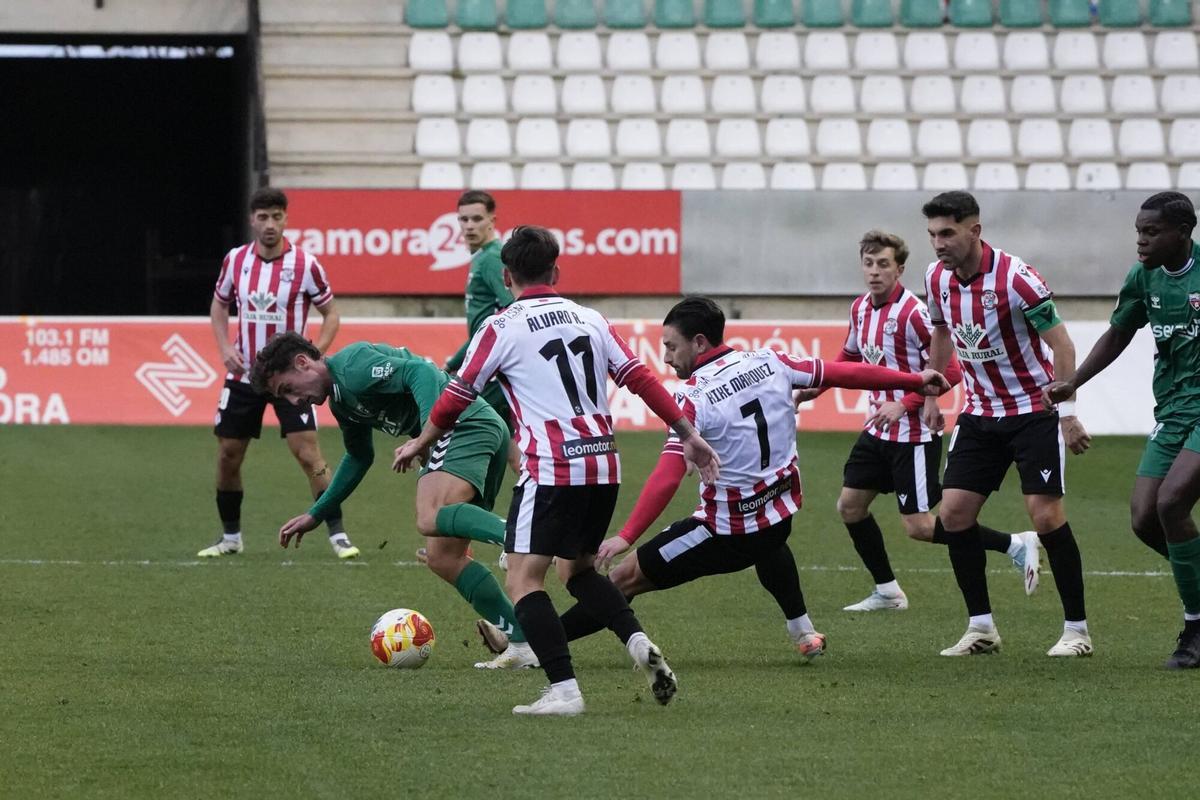 Imágenes del partido entre el Zamora CF y el Arenas de Getxo.
