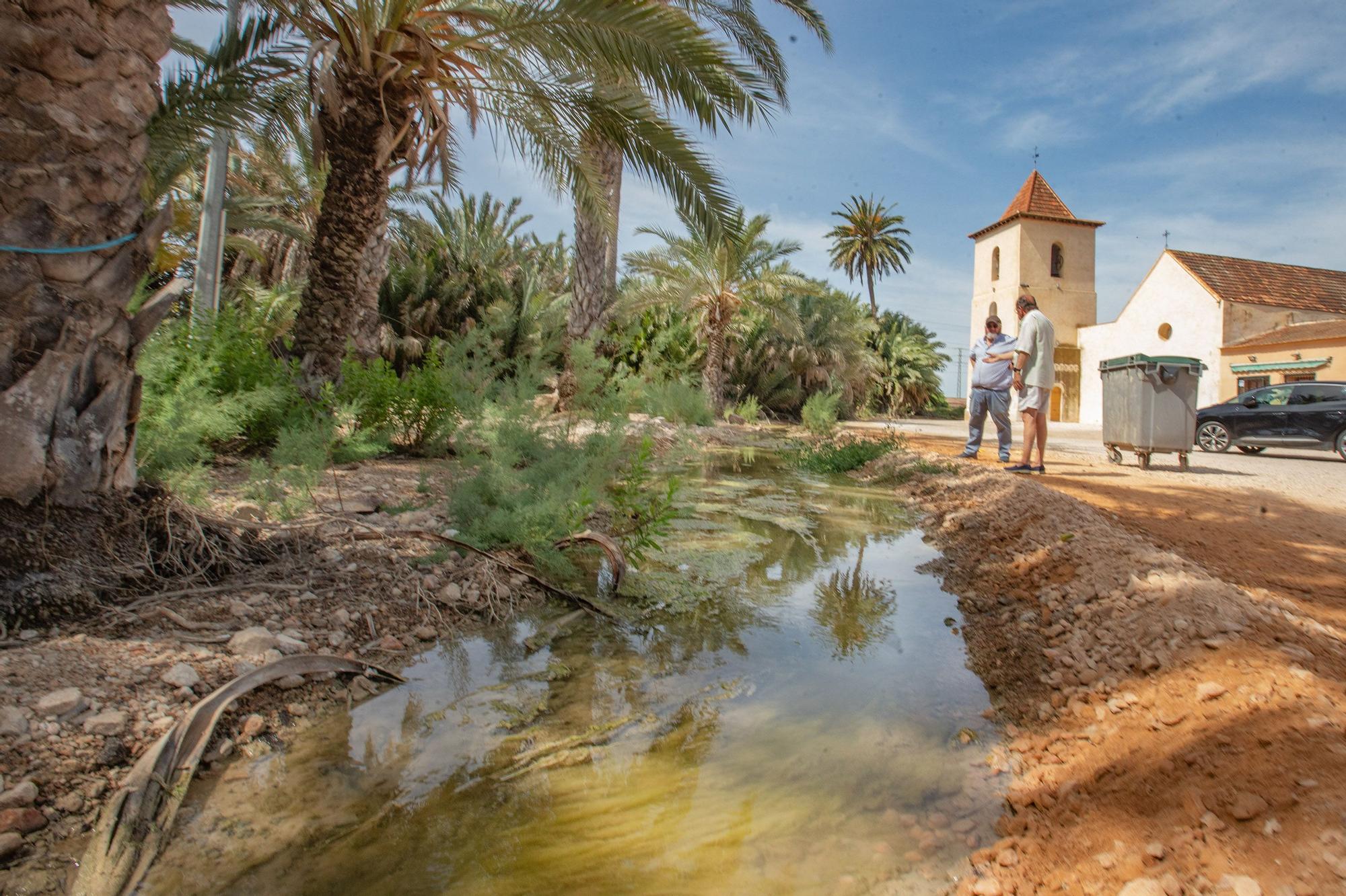 El agua de drenajes agrícolas con fertilizantes del Campo de Salinas desborda las fincas y llega a la laguna de Torrevieja