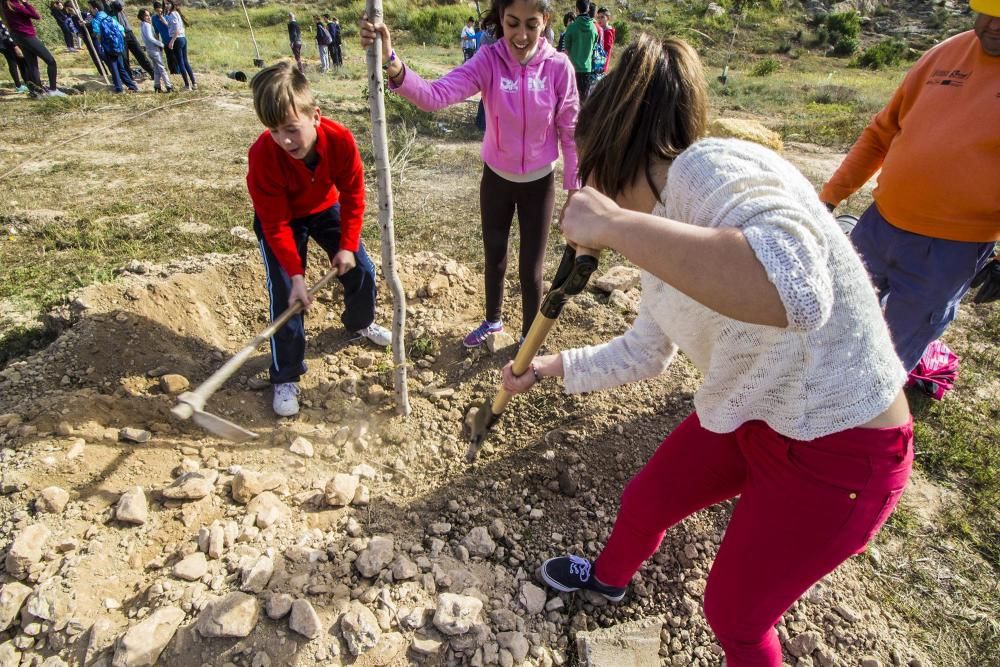 Proyecto para convertir la cantera de Cox en zona verde