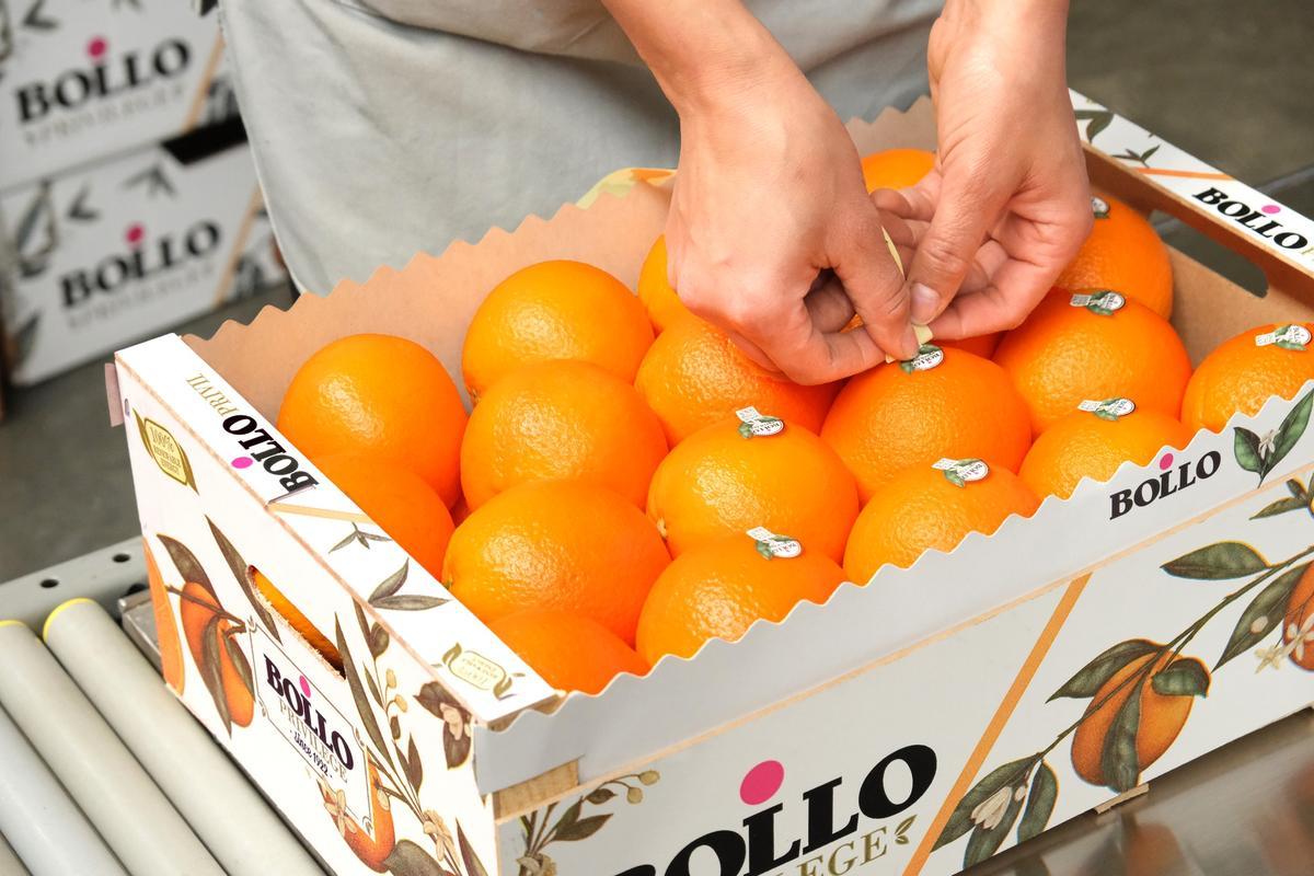 Naranjas de la firma Bollo, en una imagen de archivo.