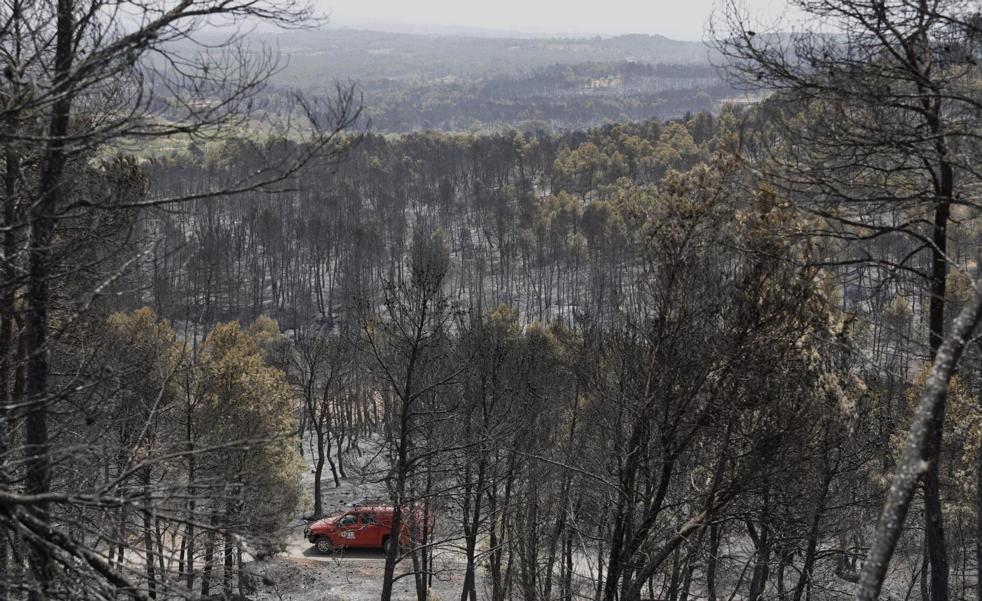 El incendio de Venta del Moro ha calcinado más de mil hectáreas