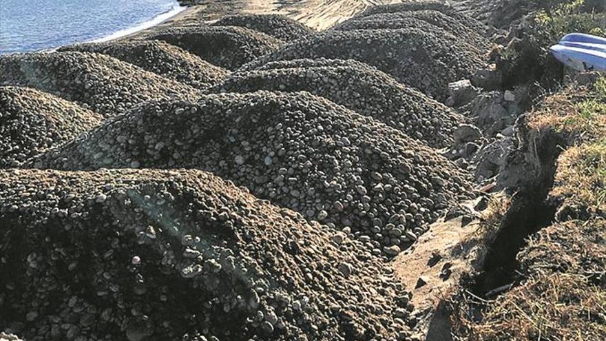 Piedras en las dunas de Cabanes