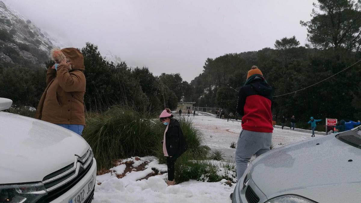 Las mejores imágenes de la nieve en la Serra de Tramuntana