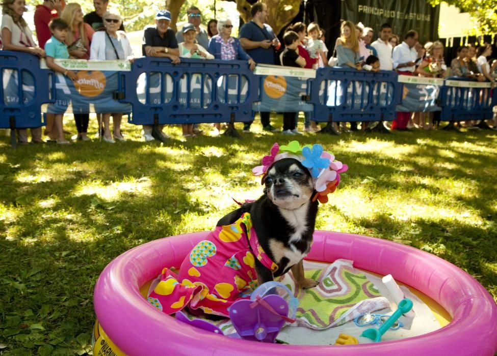 Desfile canino en Somió