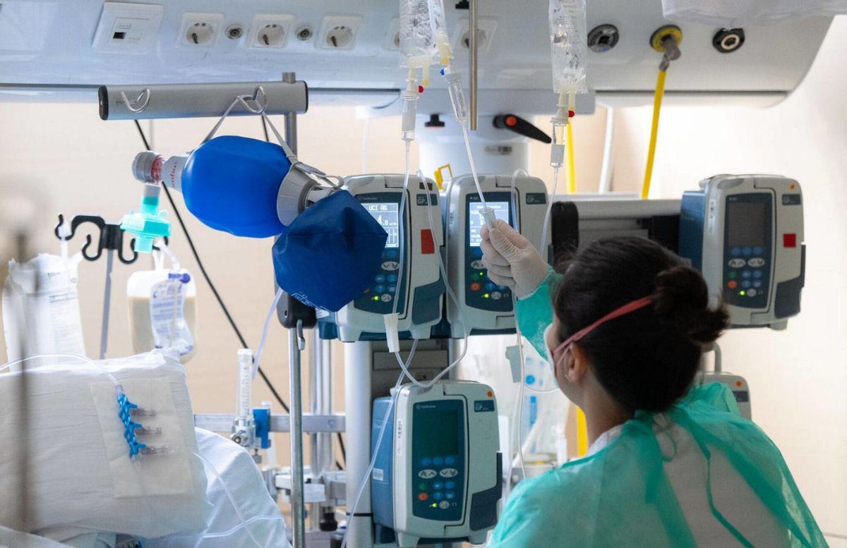 Espanya lidera les infeccions a la UE per ‘Candida auris’ Espanya lidera les infeccions a la UE per ‘Candida auris’