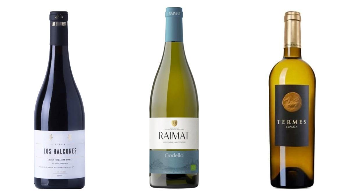 3 Vinos Blancos Que Te Sorprender n Los Halcones Sauvignon Blanc 2022 3 Vinos Blancos Que Te Sorprender n Los Halcones Sauvignon Blanc 2022