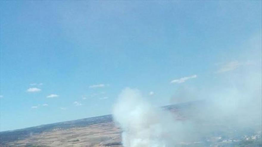 Un petardo, posible causa del incendio de un pinar en Alhama