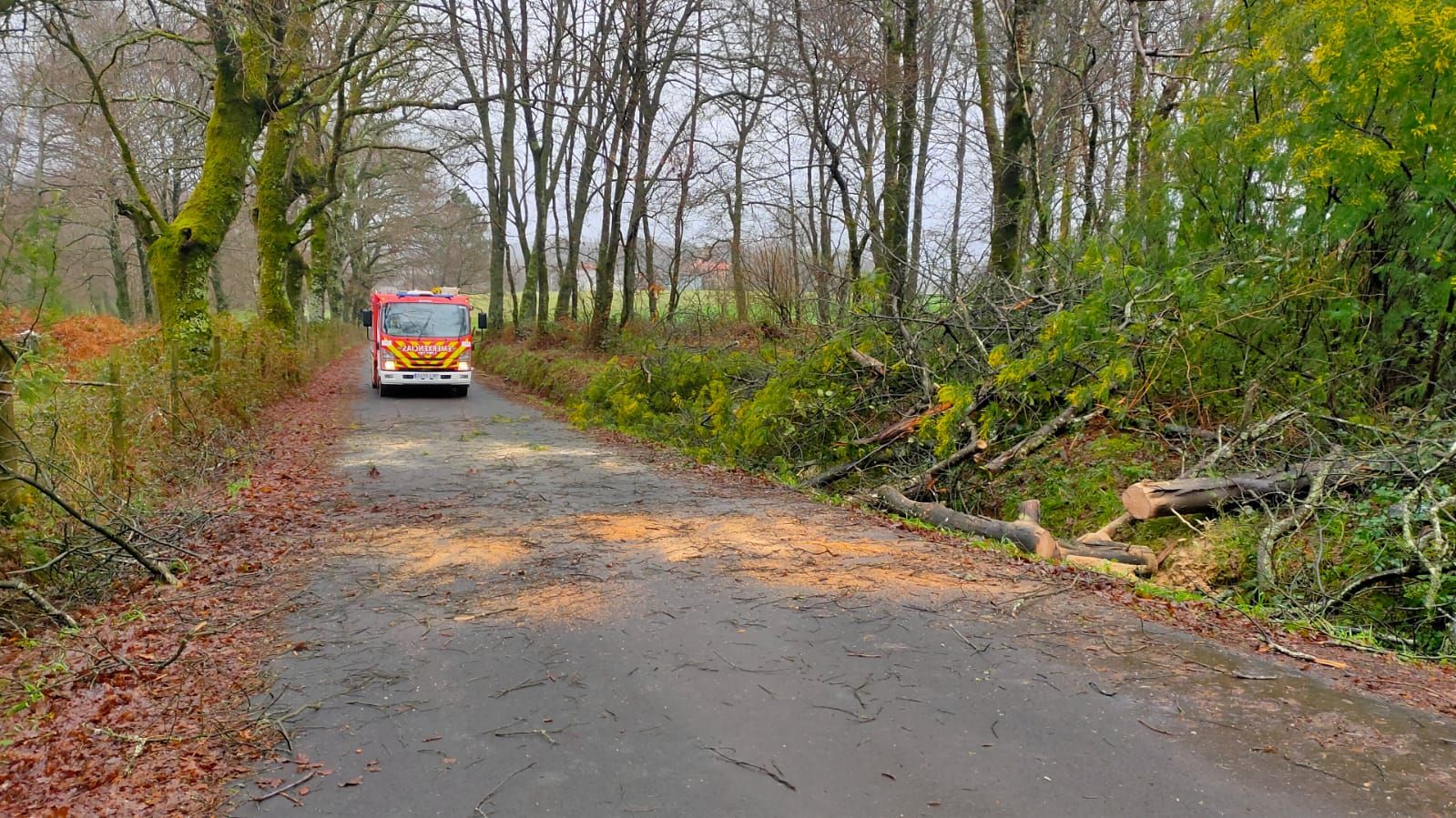 Reguero de incidencias en Lalín por el temporal