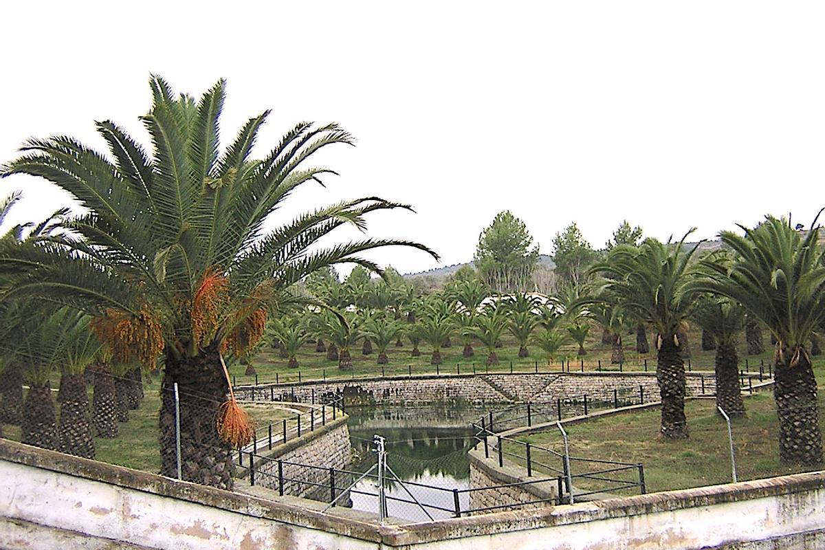 Manantial de la Esperanza. Navajas.