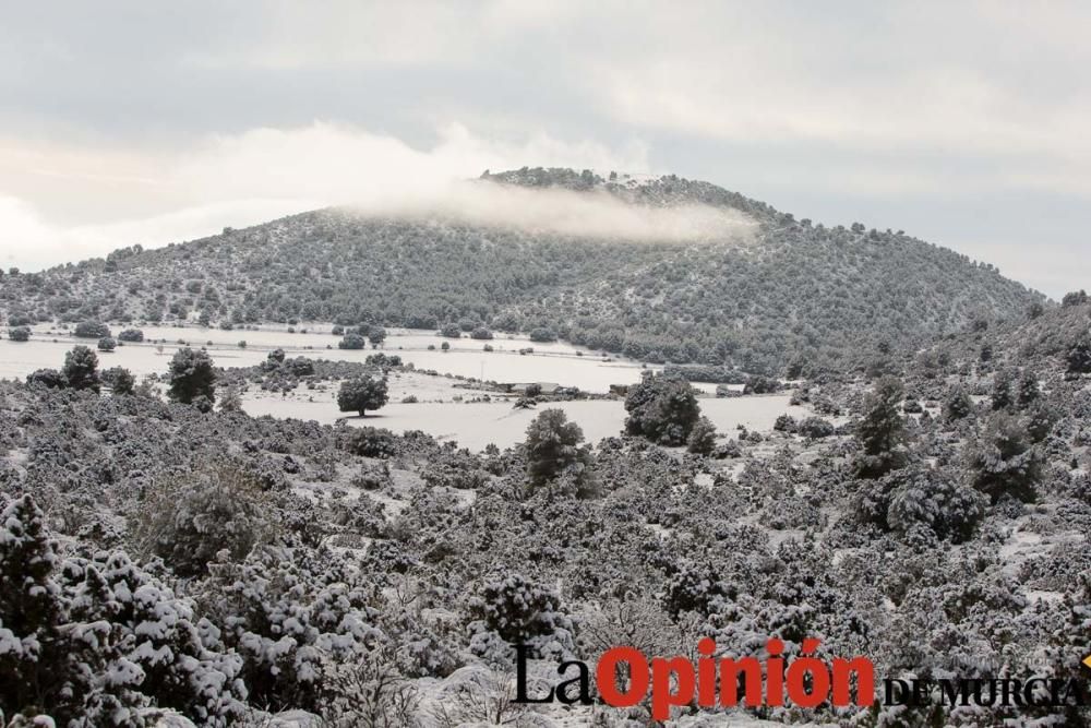 Nieve en el Noroeste