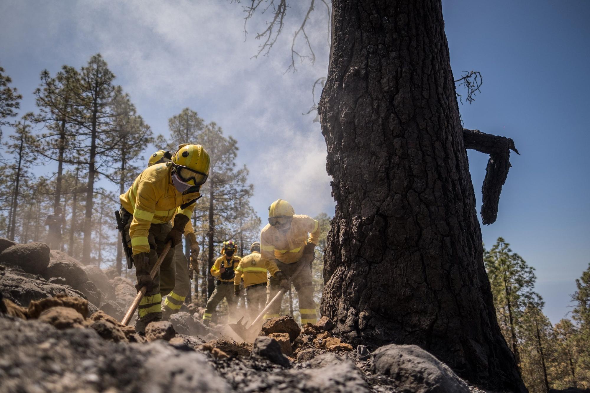 Dispositivo especial del Cabildo de Tenerife en el incendio de Arico