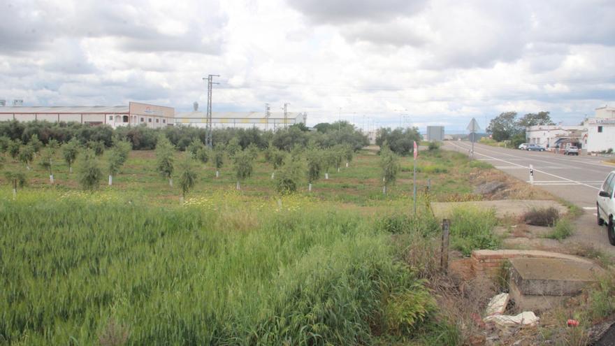 Último paso para la construcción del centro logístico de Solavance en Villafranca