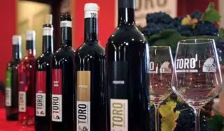 El menor consumo de vino frena las ventas de la DO Toro