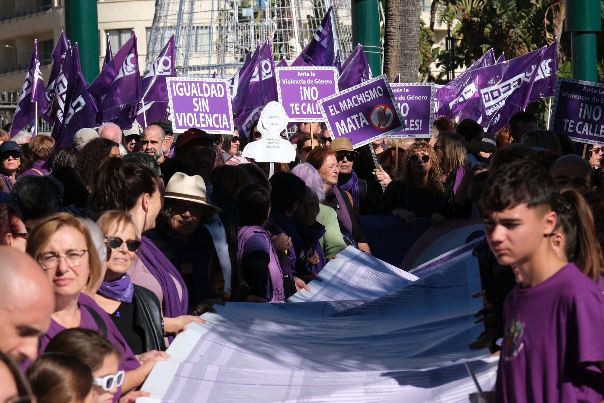 La marcha del 25-N en Málaga por el Día de la eliminación de la violencia machista contra las mujeres, en imágenes