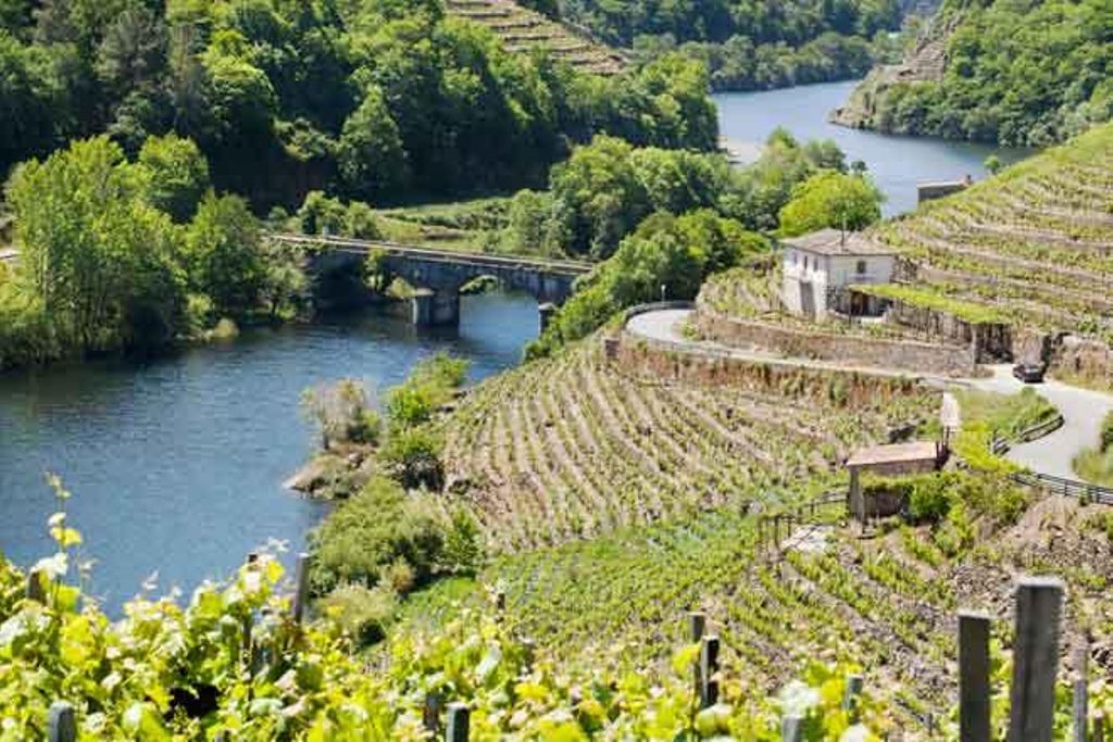 La ruta del vino en las Rías Baixas
