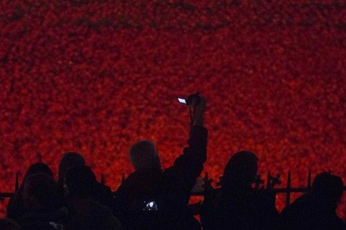 La Torre de Londres se cubre con una marea roja de flores de cerámica que recuerdan a los caídos en la Gran Guerra