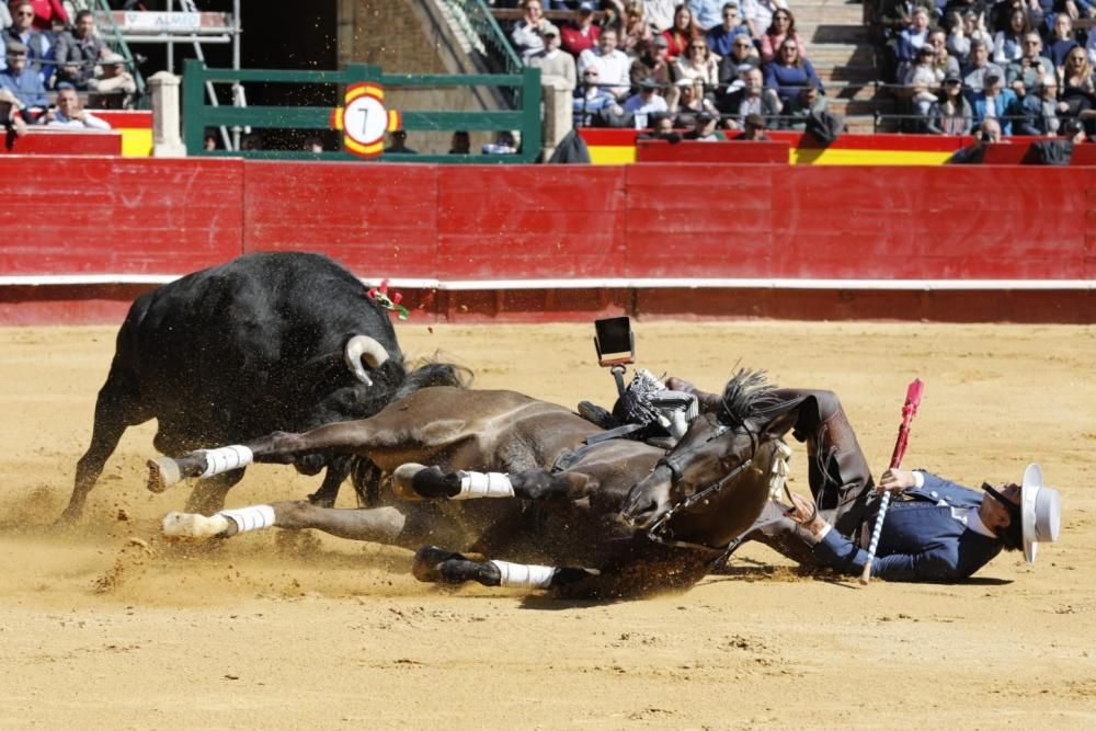 Secuencia de la cogida de uno de los caballos del rejoneador Sergio Galán el día de San José en la Feria de Fallas 2019.