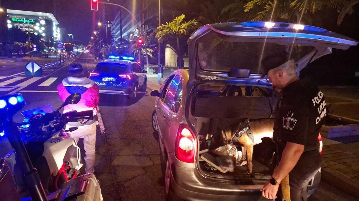 Controles de la Unidad Canina durante las noches de Carnaval.