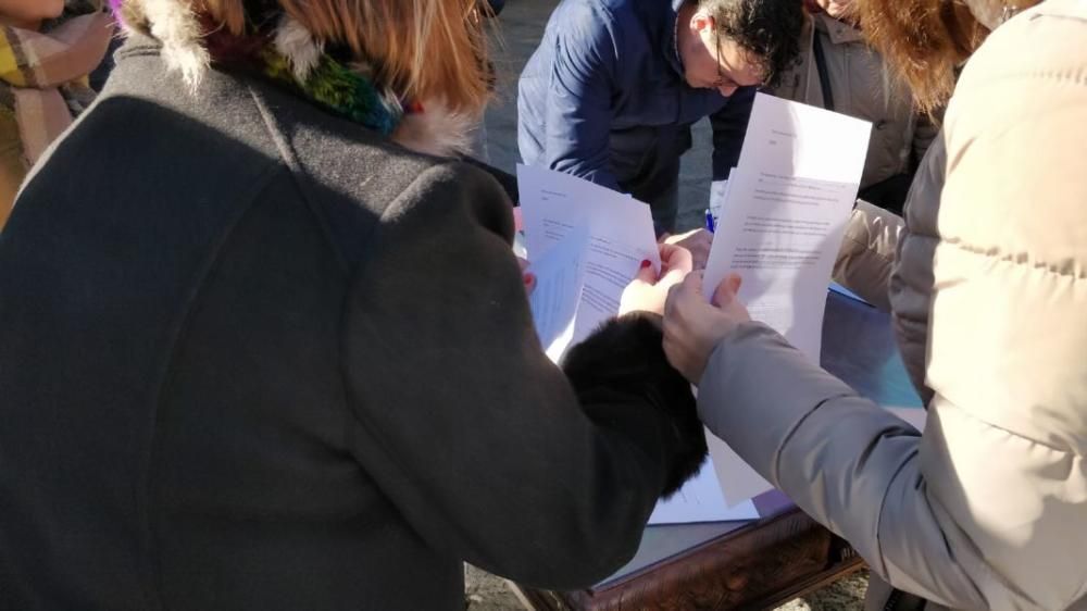 Manifestación en defensa de la Sanidad en Toro