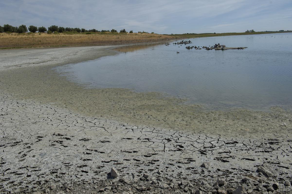 La sequía se extiende por España.