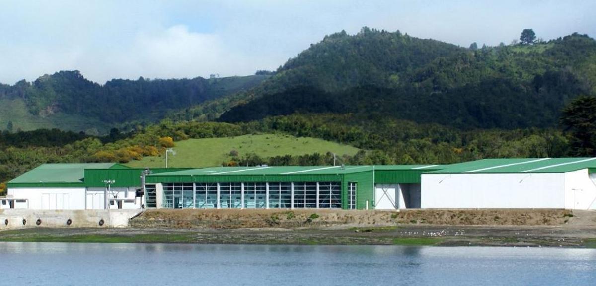 Instalaciones de Mascato en Chile