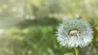 El horóscopo de mañana, domingo 22 de junio: esto es lo que predice a todos los signos del zodíaco