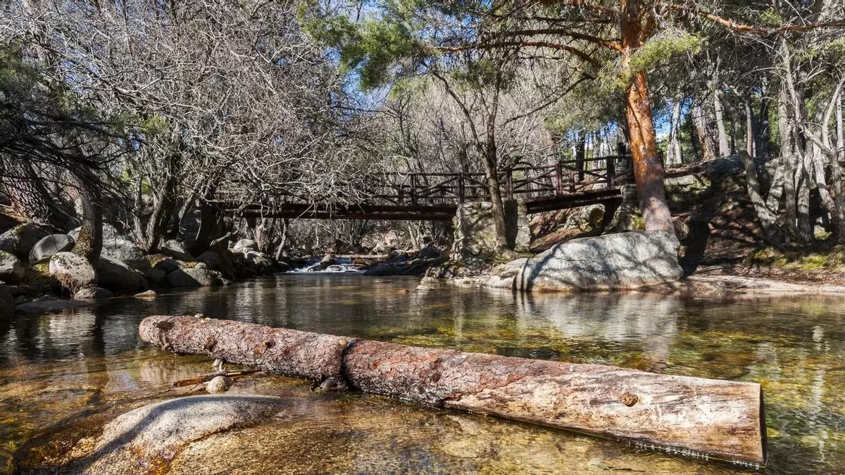 La ruta de senderismo favorita de los madrileños para huir del calor: sombras y zonas de baño a 10 minutos de la ciudad