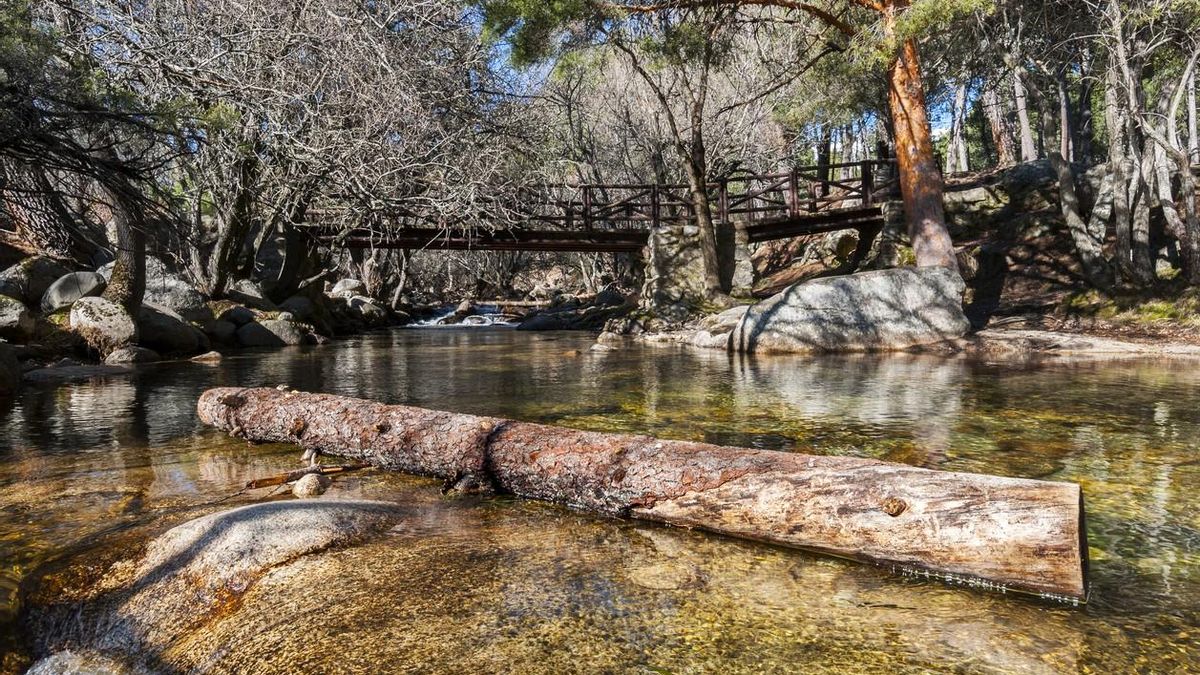 La ruta de senderismo favorita de los madrileños para huir del calor: sombras y zonas de baño a 10 minutos de la ciudad