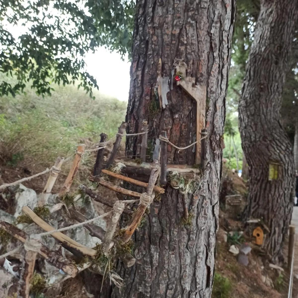 Uno de los puentes de madera artesanal en el bosque de Bureta.