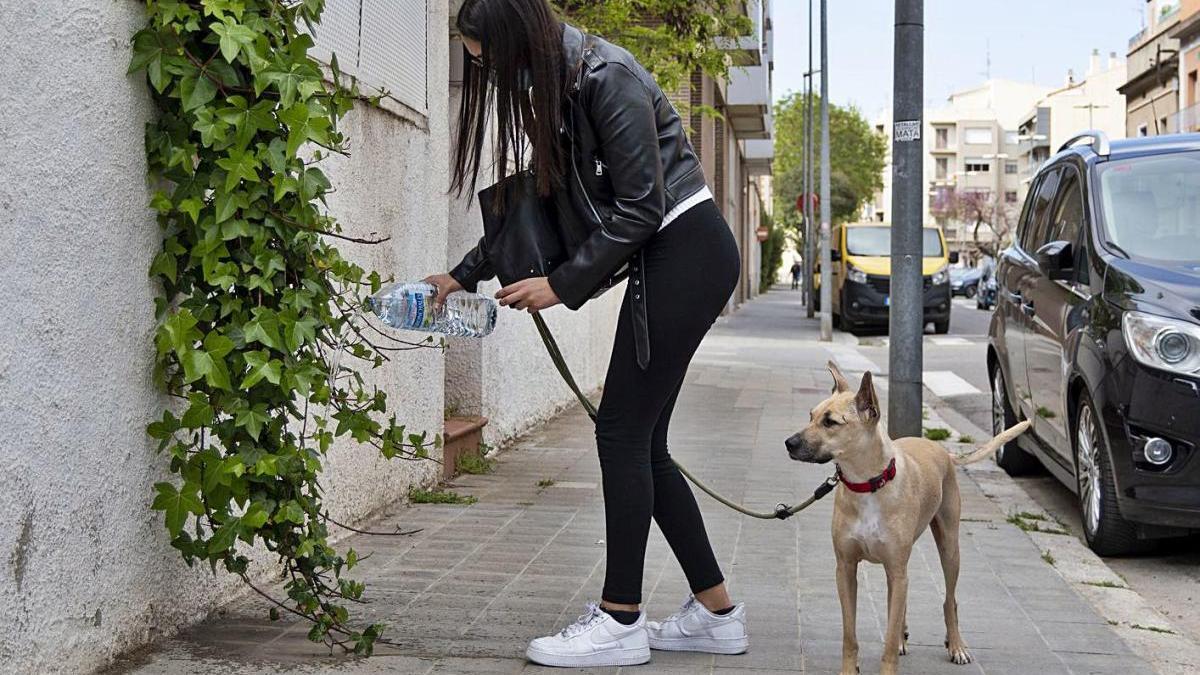 Amb la nova normativa, és d&#039;obligat compliment netejar les miccions del carrer