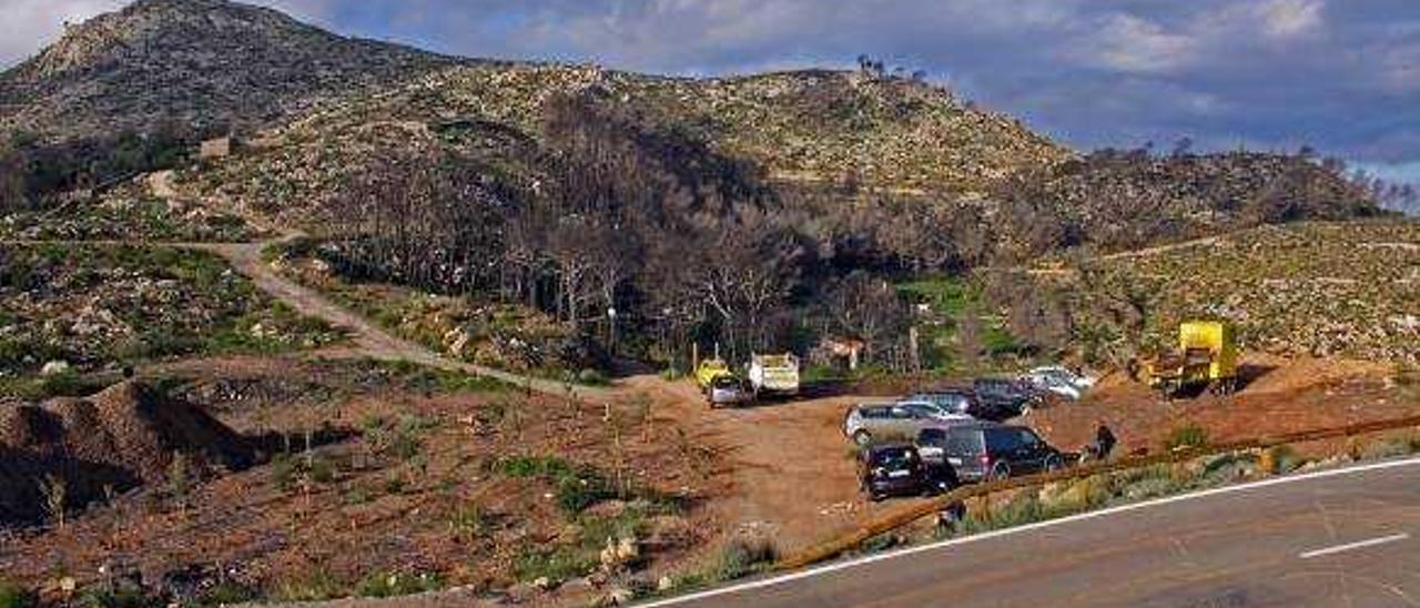 Una panorámica de la finca de la Gramola de Andratx, que sufrió severamente los efectos del incendio de 2013.