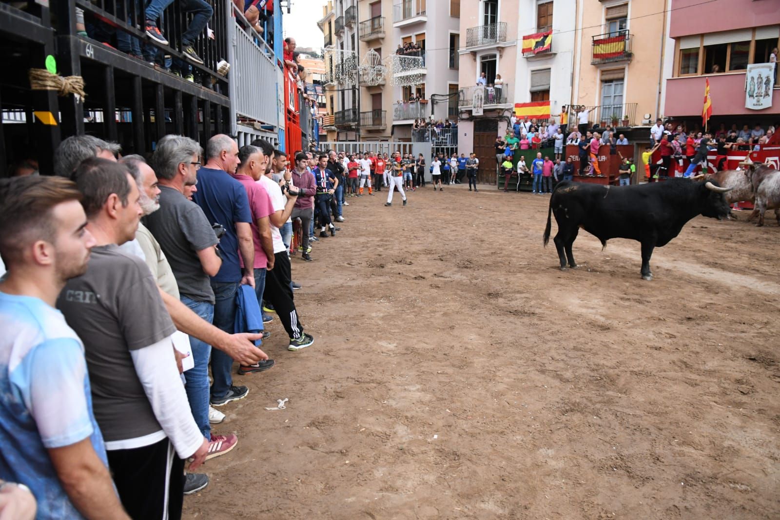 Exhibición de cuatro toros de Partida Resina en Onda