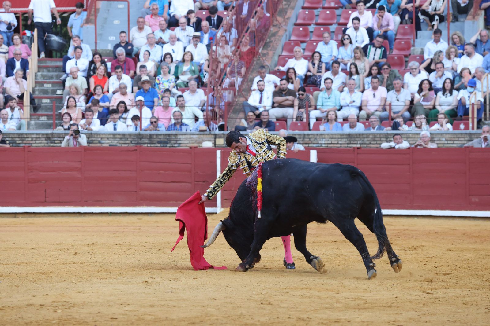 Migie Ángel Perera sale a hombros de Los Califas