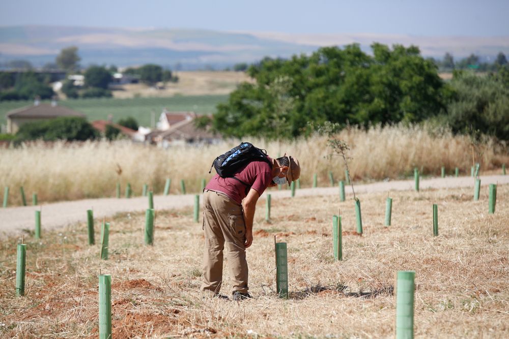 Las obras de la segunda fase del cinturón verde de Córdoba empezarán en octubre