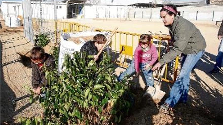 Una plantada d&#039;arbres reivindicativa, fa un any, amb els barracons actual al fons.