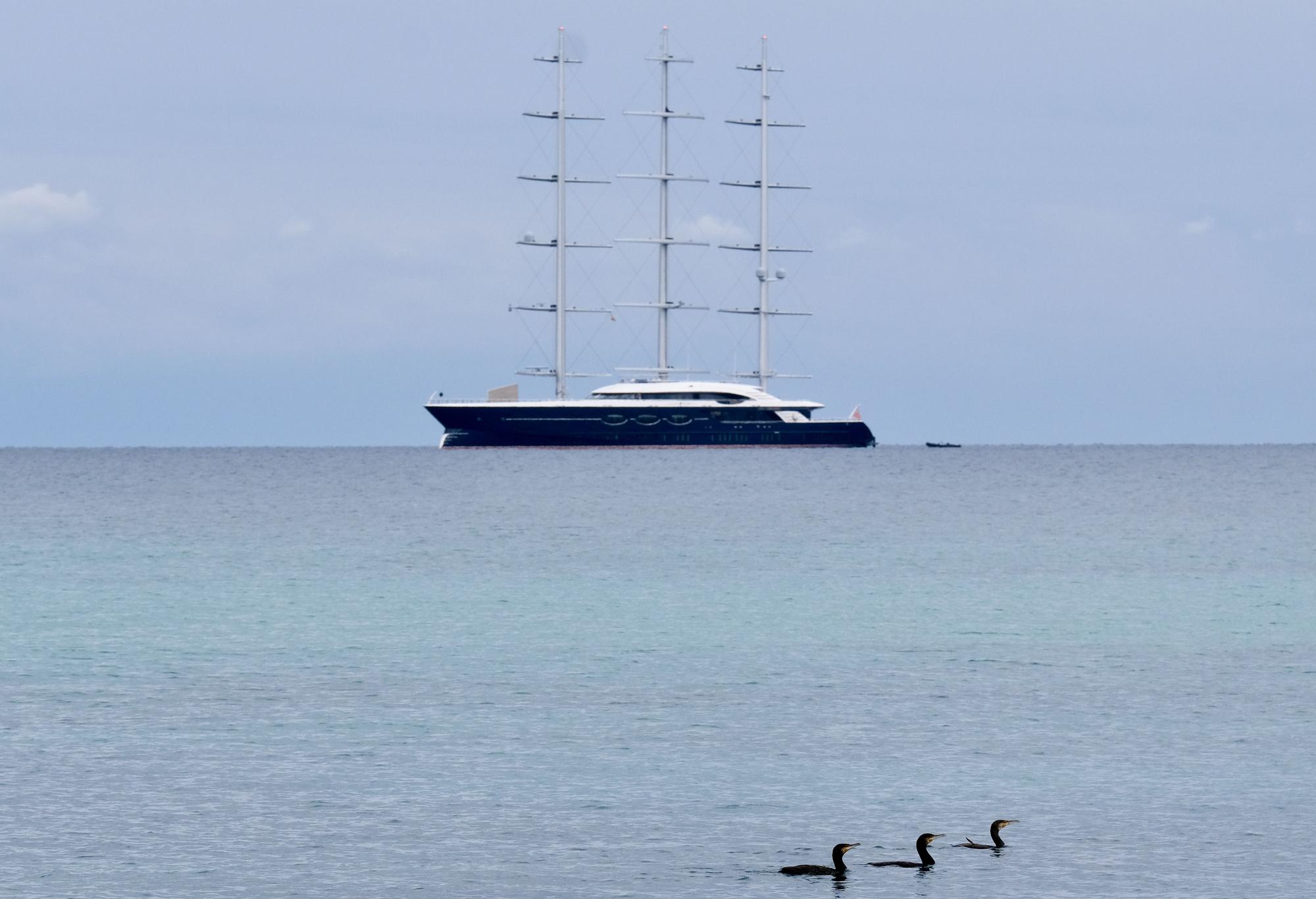 El yate Black Pearl en la bahía de Palma, con tres corb marí en priemr plano