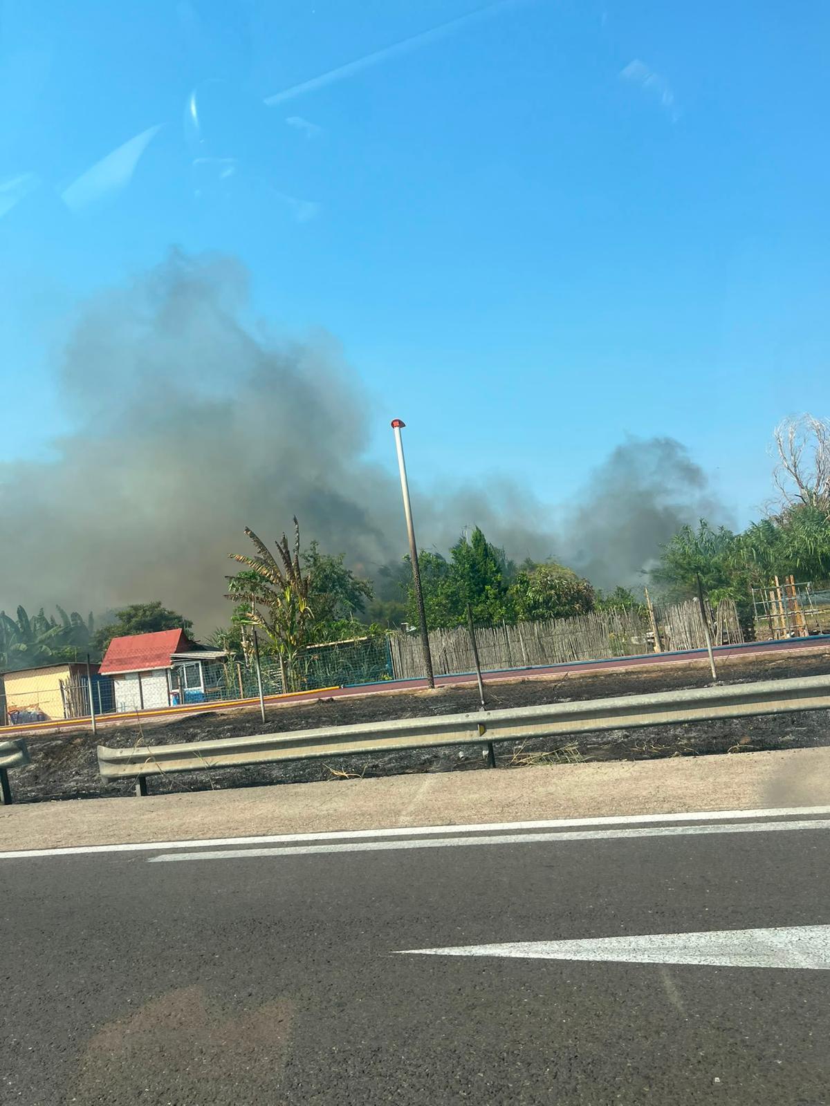Un aparatoso incendio junto al Oceanogràfic y la autovía del Saler obliga a cortar el tráfico de entrada y salida a la ciudad