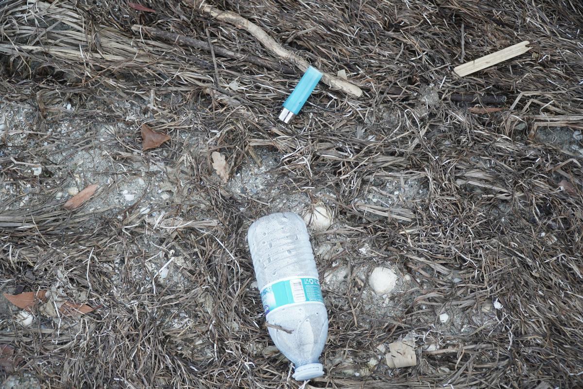 Limpieza ambiental en la ría do Burgo