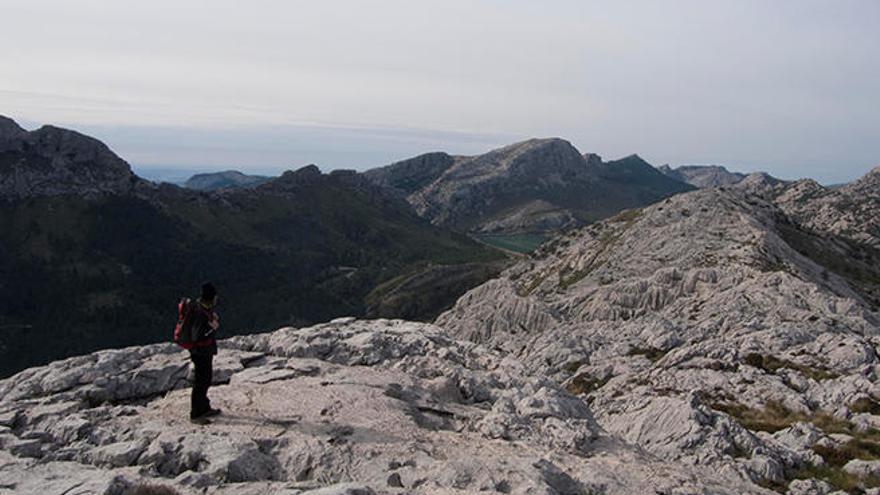 La Aemet avisa de heladas en la Serra